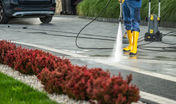 Best Roof Pressure Washing  in Ferndale, WA