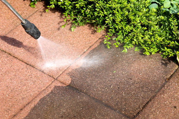 Professional Pressure Washing in Ferndale, WA